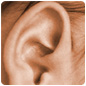Ear Pinning Surgery